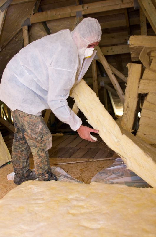 Old Insulation Removal