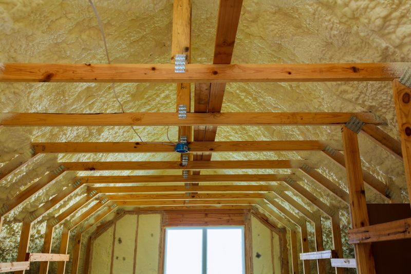 Rafter Insulation Installation in Austin, TX